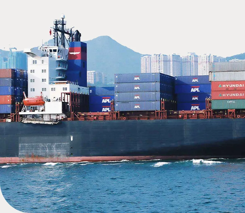 export
