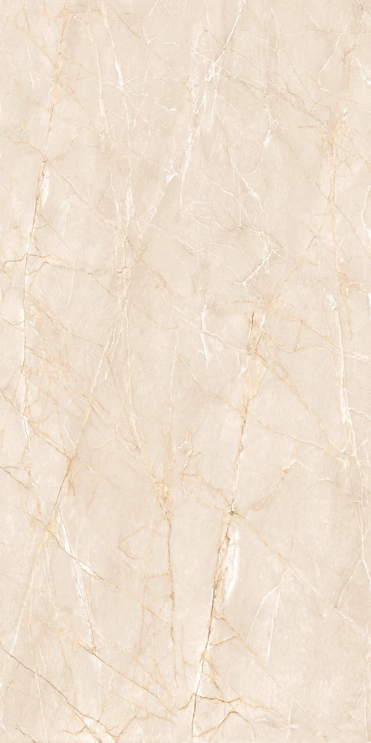 AMPHORA IVORY