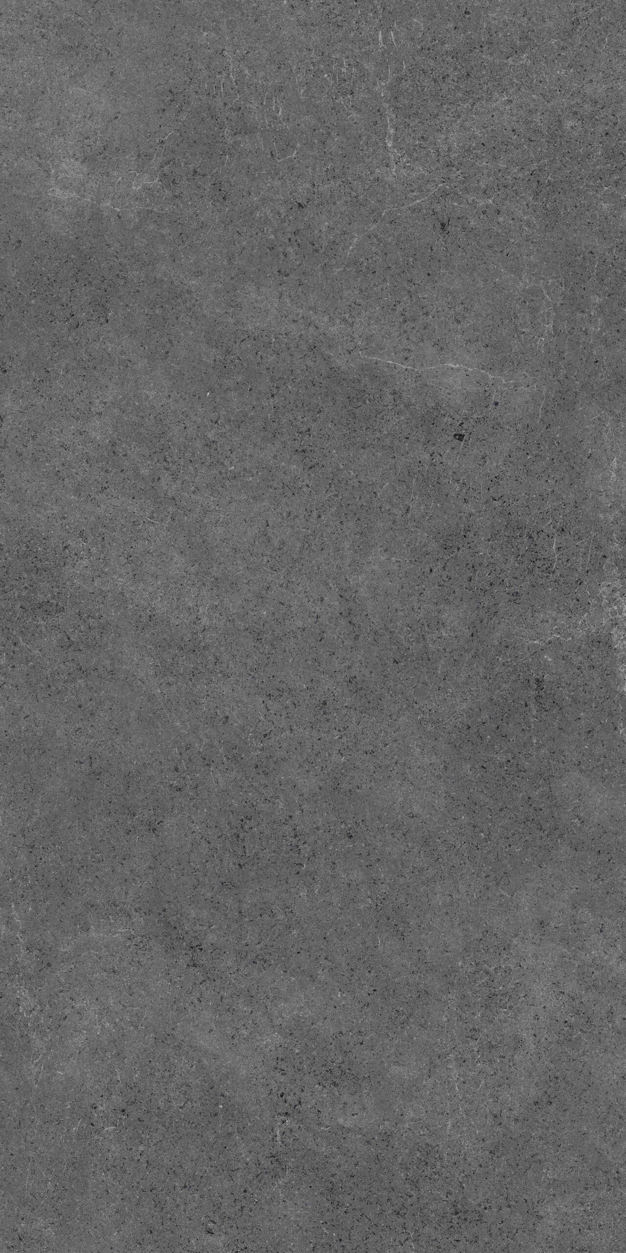 FOREST NERO 1