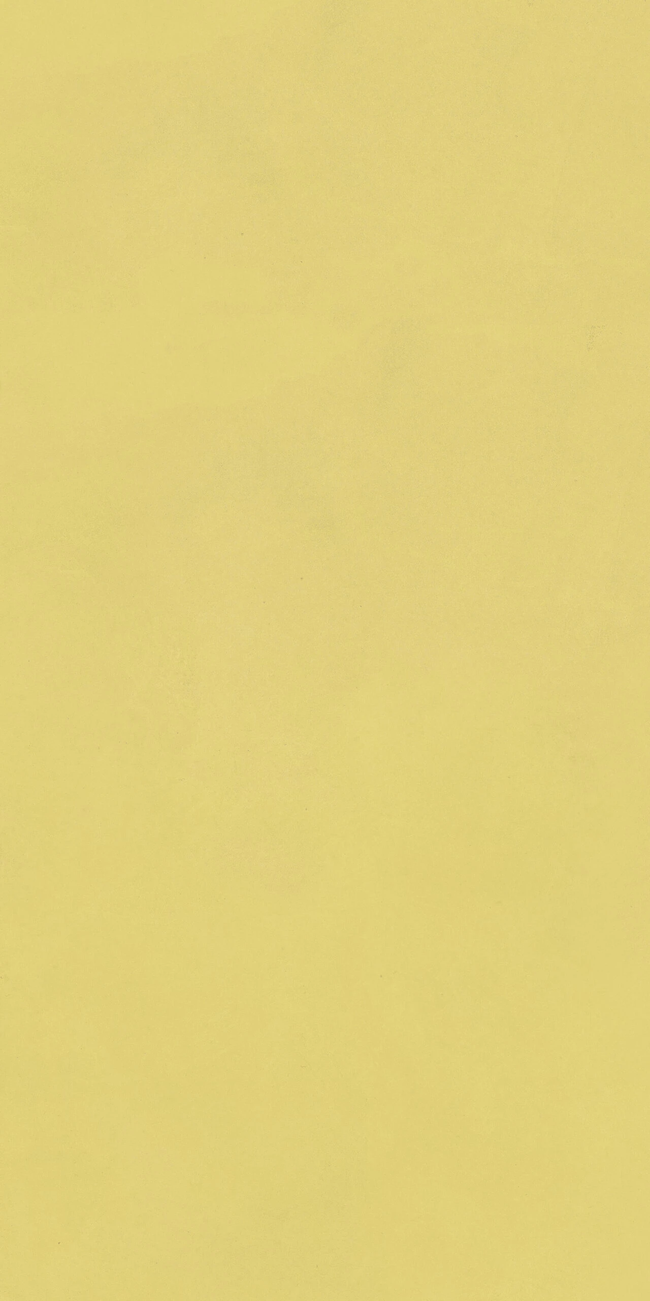 NOVELA YELLOW