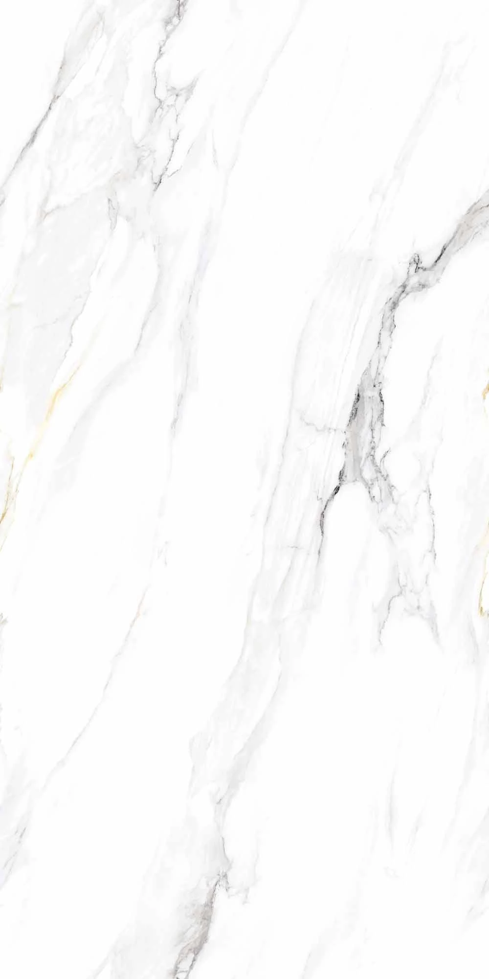ANTRA GREY