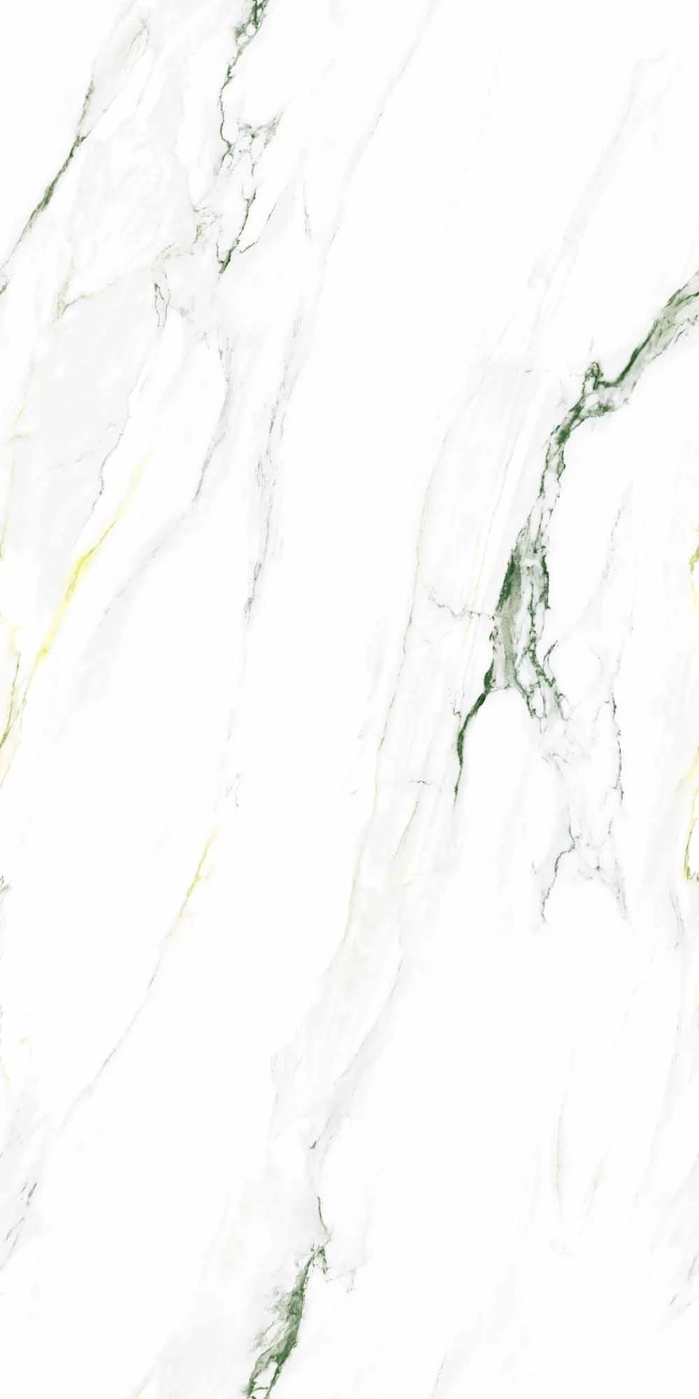 ANTRA VERDE