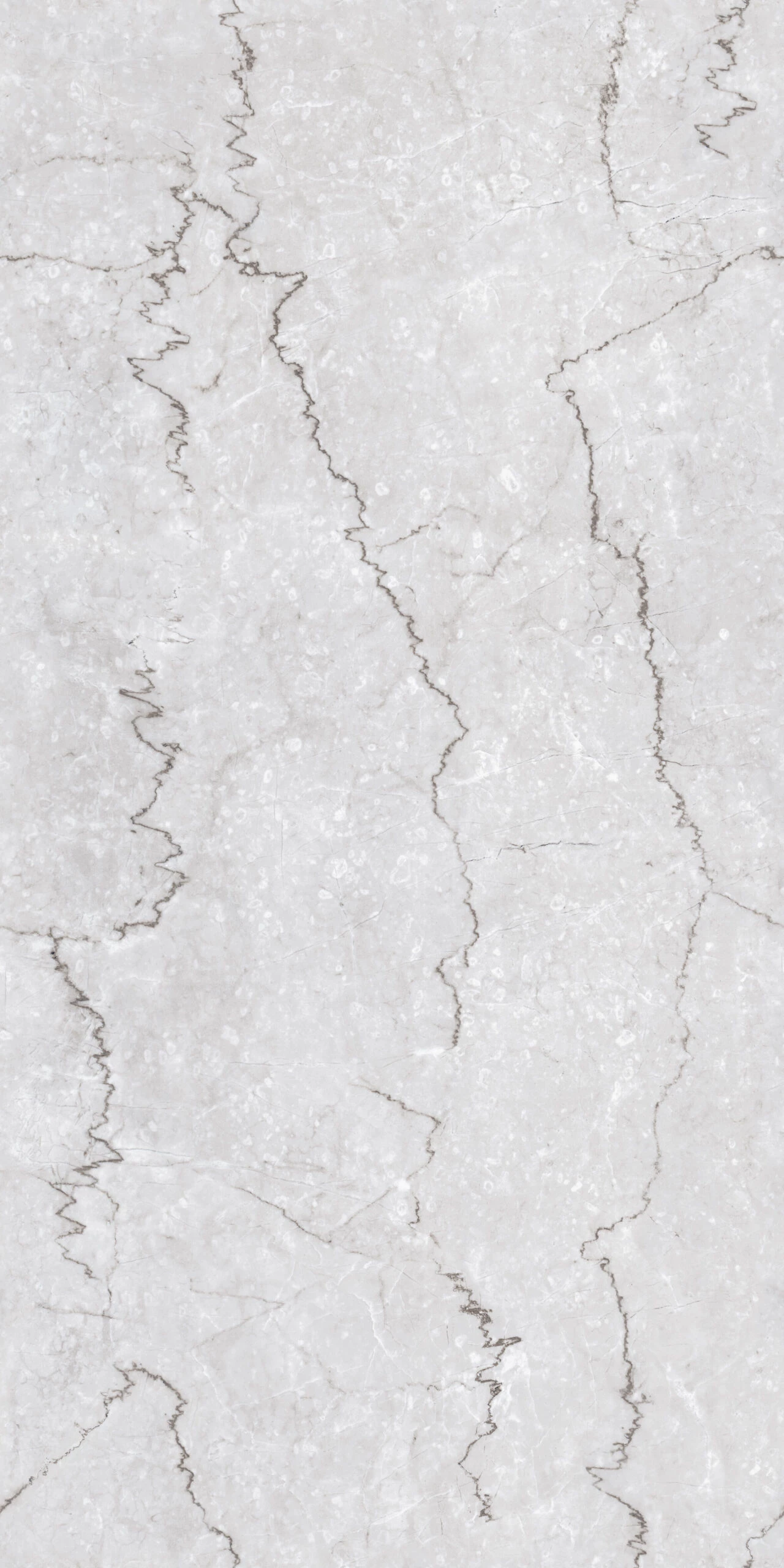 BOTOCHINO GREY
