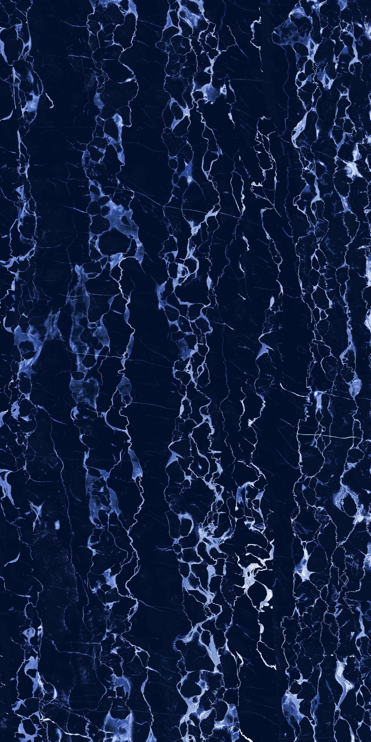 BLUE PORTRO