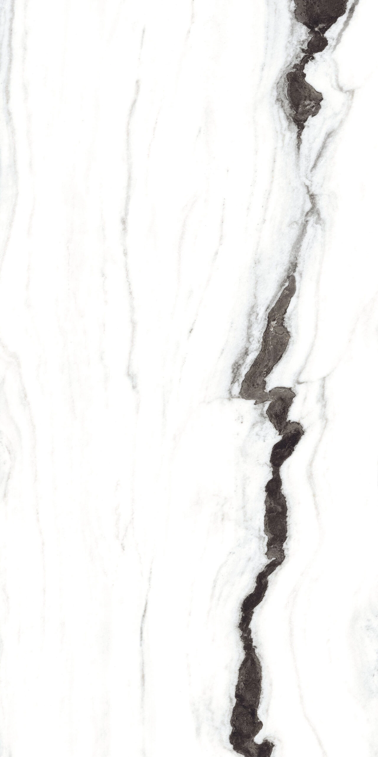 FRENCH WHITE