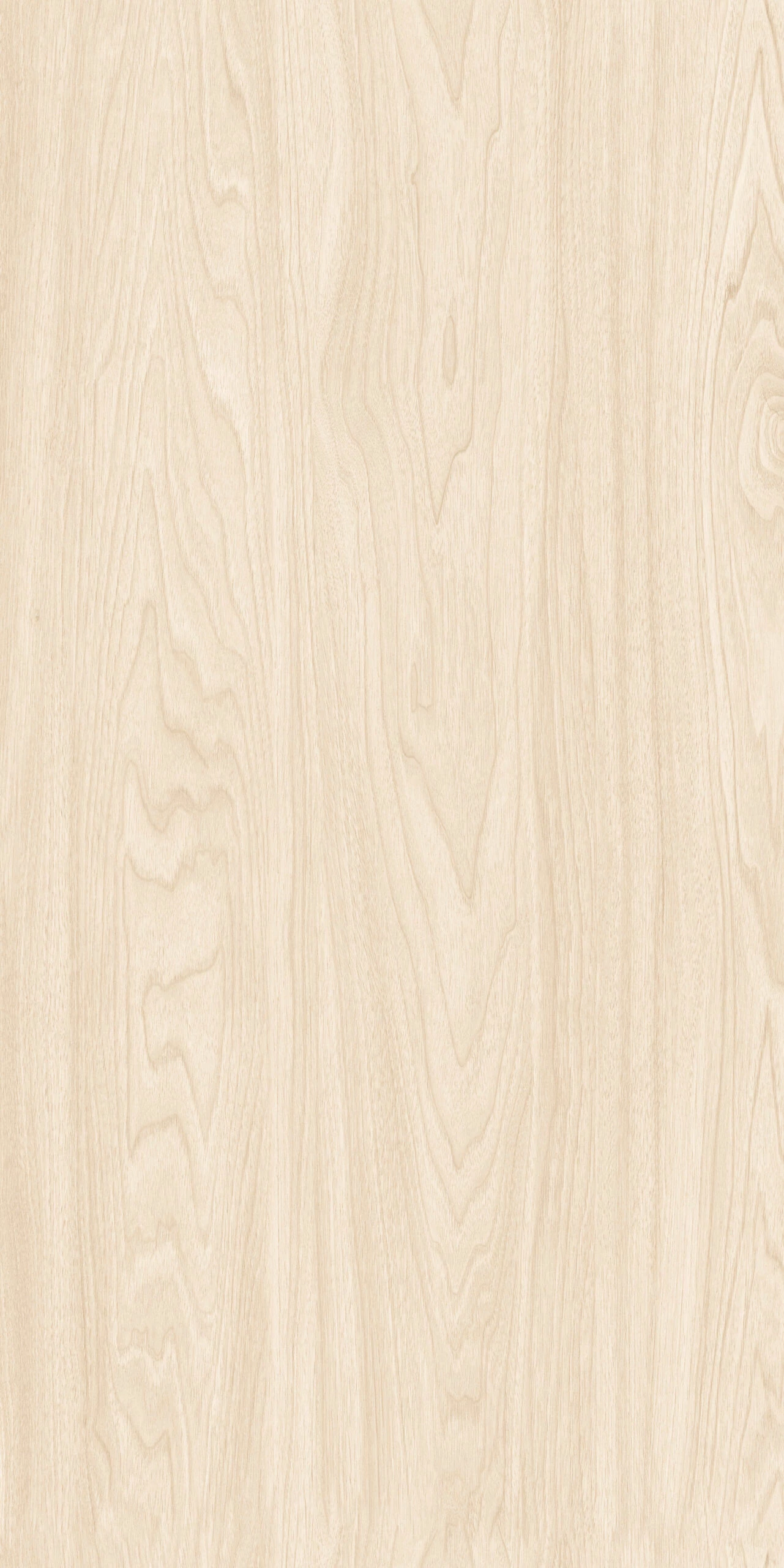 FLARE IVORY