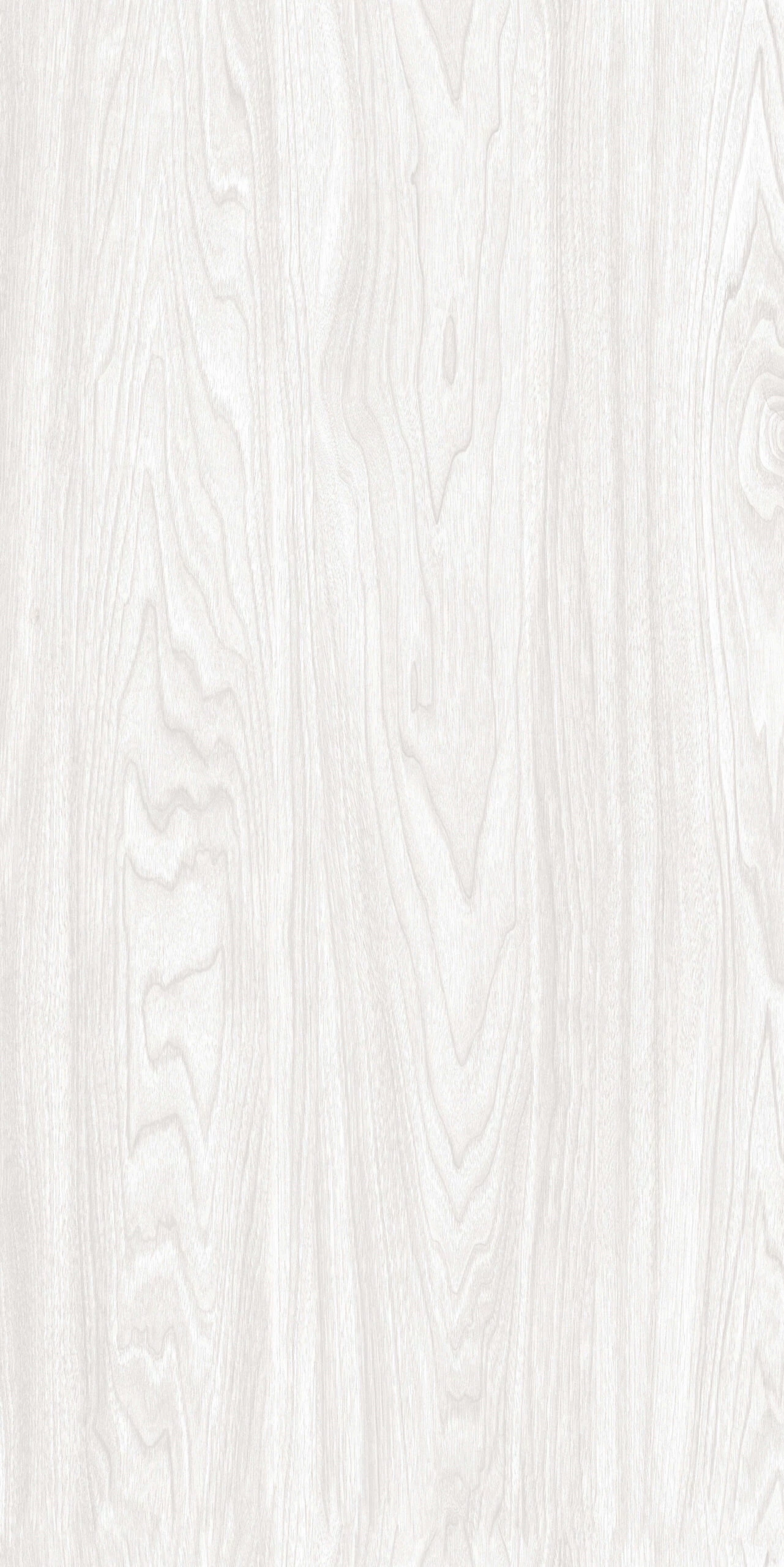 FLARE WHITE